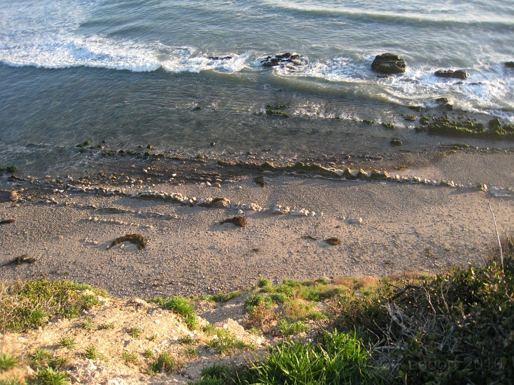 Carpinteria California 2010-02 0660.jpg - A trip to Carpinteria California. Surfing, food, beachs.